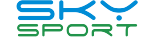 yp街机电子LOGO